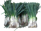 cal&ccedil;ots
